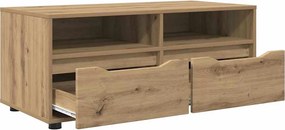 vidaXL Ντουλάπι TV 100 x 48 x 43 εκ. Artisan Oak Επεξεργασμένο Ξύλο