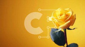 Intra Συλλεκτικό Ξύλινο Παζλ Plywood 4mm - Ενιαίο κίτρινο τριαντάφυλλο σε πορτοκαλί φόντο Σε Ξύλινο Κουτί - Διαστάσεις: 10x10 cm – 25 κομμάτια