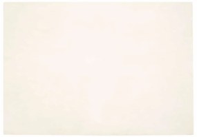 vidaXL Χαλιά Ψεύτικου Κουνελιού Olite Λευκό 140 x 200 cm Πολυεστέρας