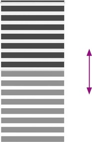 vidaXL Ζέβρα τυφλή Μαύρο Πλάτος υφάσματος 100,9 εκ. Πολυεστέρας