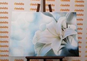 Εικόνα λευκό λουλούδι κρίνου σε αφηρημένο φόντο