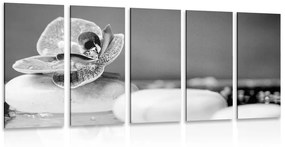 Ορχιδέα με 5 μέρη εικόνα και πέτρες Ζεν σε ασπρόμαυρο - 100x50