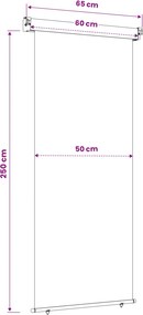 vidaXL Αυλούπα Πλευράς Μπαλκονιού 60 x 250 εκ.