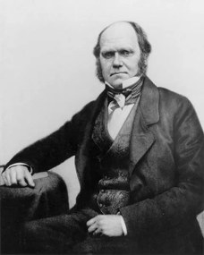 Φωτογραφία Τέχνης Portrait of Charles Darwin, 1854, English Photographer,, (30 x 40 cm)