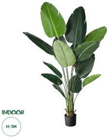 20027 GloboStar® Artificial Garden STRELITZIA 20027 Τεχνητό Διακοσμητικό Φυτό Στρελίτσια - Πουλί του Παραδείσου Υ200cm