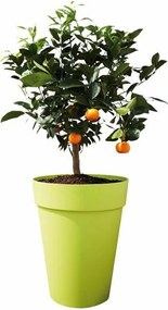 Βάζο Λουλουδιών Elho Γκρι Στρογγυλή Ø 35 cm