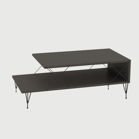 Τραπεζάκι Σαλονιού Ανθρακί FLOFO 100x50x40