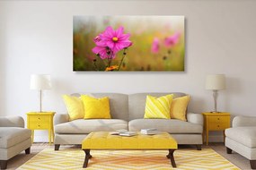 Εικόνα ανθισμένο ροζ λουλούδι - 100x50