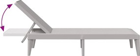 vidaXL Ξαπλώστρα Γκρι 186 x 60 x 29 από Πολυπροπυλένιο
