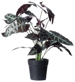 Τεχνητό Φυτό Αλοκάσια Amazonica Polly 40 εκ. 9360-6 Supergreens-9360-6-Πράσινο 9360-6