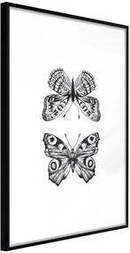 Αφίσα - Butterfly Collection I - 30x45 - Μαύρο - Χωρίς πασπαρτού