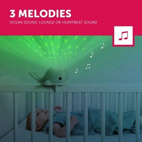 WALLY Φάλαινα Προβολέας Σταγόνες Ωκεανού με Λευκούς Ήχους ZAZU