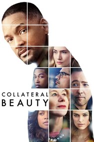 Εικονογράφηση Collateral Beauty (2016)