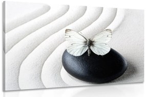 Εικόνα λευκής πεταλούδας σε μαύρη πέτρα