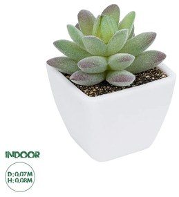 Artificial Garden  SUCCULENT SEDEVERIA POTTED PLANT 20975 Διακοσμητικό Φυτό Φοίνικα Σερενόα Φ7 x Υ8cm