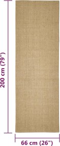 vidaXL Χαλί Σιζάλ για Ονυχοδρόμιο 66 x 200 εκ.