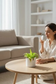 Stewehome Τεχνητός κάκτος σουκλέντης σε λευκή γλάστρα