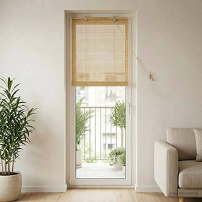 vidaXL Ρόλερ (στόρι) Φυσικό 40 x 220 cm Μπαμπού