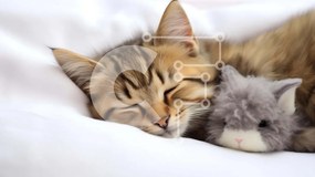 Intra Συλλεκτικό Ξύλινο Παζλ Plywood  4mm - Γάτα που κοιμάται δίπλα σε γεμιστό ζώο Σε Ξύλινο Κουτί - Διαστάσεις: 10x10 cm – 25 κομμάτια