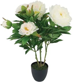 Τεχνητό Φυτό Σε Κασπώ Παιώνια 04-24172 60cm Green-Ecru Marhome Συνθετικό Υλικό