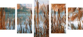 Ποταμός εικόνας 5 μερών στη μέση της φθινοπωρινής φύσης - 100x50
