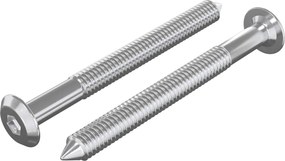 vidaXL Βίδες επίπλων 2 pcs Ασημί M6 x 60 χιλ. Ατσάλι