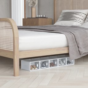 HOMCOM Σετ 18 τεμαχίων, Στοίβαξη κουτιών παπουτσιών για παπούτσια έως μέγεθος 45, Μαγνητικές πόρτες, Πλαστικό, 28 x 36 x 21 cm