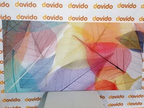 Εικόνα φλεβών σε χρωματιστά φύλλα - 120x60