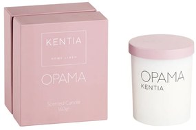 MOOD 25 ΟΡΑΜΑ ΑΡΩΜΑΤΙΚΟ ΚΕΡΙ DIAMOND SNOW - KENTIA