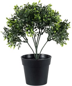 Τεχνητό Φυτό Buxus 20387 30cm Green Globostar Polyethylene