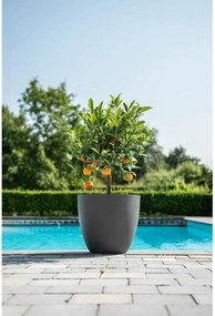 Γλάστρα Garden ID Phoenix Anthracite Ανθρακί 48 x 42 cm