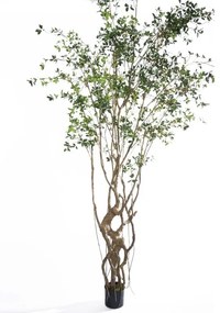 Supergreens Τεχνητό Δέντρο Φίκος Microcarpa Πράσινο 300 εκ