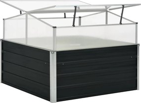 vidaXL Θερμοκήπιο Σπορείο Ανθρακί 100x100x77 εκ. Γαλβανισμένος Χάλυβας