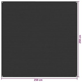 vidaXL Χαλί Σκηνής Ανθρακί 250 x 250 εκ. από HDPE
