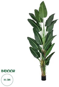 20382 GloboStar® Artificial Garden BANANA TREE 20382 - Τεχνητό Διακοσμητικό Φυτό Μπανανιά Υ300cm