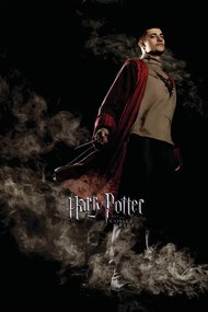 Εικονογράφηση Harry Potter and the Goblet of Fire - Krum