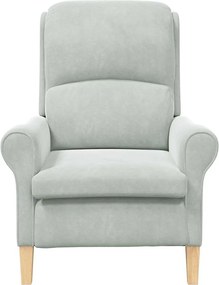 vidaXL Πολυθρόνα Ανοιχτό γκρι Βελούδο