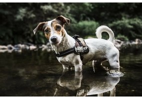 Ενισχυμένο Λουρί Σκύλου JuliusK9