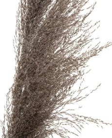 ΤΕΧΝΗΤΆ ΦΥΤΆ BROWN PAMPA X3 H110 179282B