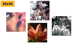 Σετ εικόνων τρυφερότητα των λουλουδιών - 4x 60x60