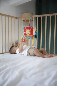 Σόφι καμηλοπάρδαλη Αισθητηριακός κύβος δραστηριοτήτων