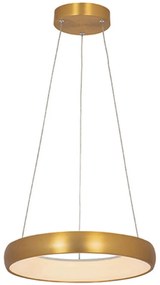 Φωτιστικό Οροφής 2046 Led 3000K 30W Φ40cm Brushed Gold Matt Αλουμίνιο,Ακρυλικό