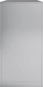 vidaXL Ράφι Καυσόξυλων 100x40x80 εκ. Γαλβανιζέ Ατσάλι
