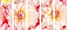 Εικόνα 5 τμημάτων παστέλ λουλούδια ντάλια