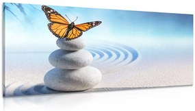 Εικόνα ισορροπίας πέτρες και πεταλούδας - 100x50