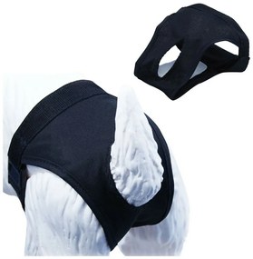 Εσώρουχα Gloria Slip Σκύλος πολυεστέρας (16-23 cm)