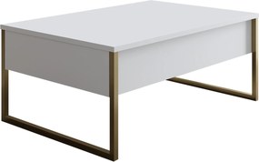 Τραπεζάκι Σαλονιού Λευκό / Χρυσό FOEN 90x60x40