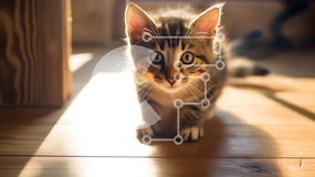 Σετ των 2 Intra Συλλεκτικό Ξύλινο Παζλ Plywood  4mm - Περίεργο γατάκι με ριγέ παλτό Σε Ξύλινο Κουτί - Διαστάσεις: 10x10 cm – 25 κομμάτια