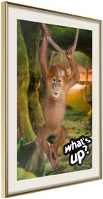 Αφίσα - Life in the Jungle - 30x45 - Χρυσό - Με πασπαρτού