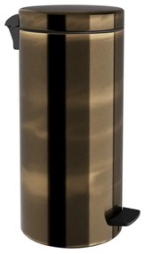Κάδος Απορριμμάτων Soft Close 20Lt 18-310-002 25x55cm Bronze Pam&amp;Co Ανοξείδωτο Ατσάλι